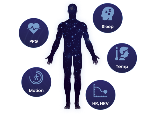 Body silhouette representing multimodal physiological signal collection